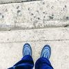 dball24